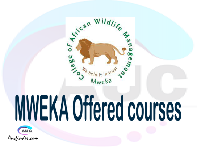 CAWM - MWEKA courses 2021, College of African Wildlife Management Mweka offered courses, CAWM - MWEKA courses and requirements, kozi za chuo kikuu cha College of African Wildlife Management Mweka, CAWM - MWEKA diploma certificate Undergraduate degree and postgraduate courses