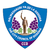 Matokeo ya darasa la saba 2023 Dodoma – PSLE Results for Dodoma region in 2023/2024