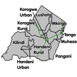 Matokeo ya darasa la saba 2023 Tanga – PSLE Results for Tanga region in 2023/2024