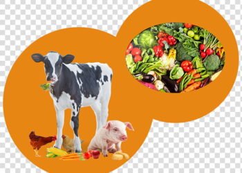Agriculture and Livestock Training colleges in Tanzania