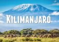 List of colleges Available in Kilimanjaro