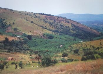 List of colleges in Kagera