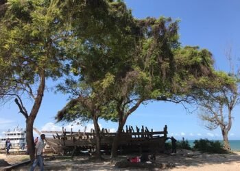 list of colleges in Pwani