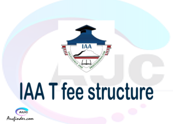IAA fee structure 2021, Institute of Accountancy Arusha fees, Institute of Accountancy Arusha fee structure, Institute of Accountancy Arusha tuition fees, Institute of Accountancy Arusha (IAA) fee structure