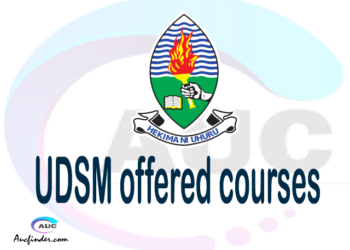 UDSM courses offered 2023