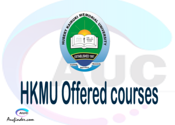 HKMU courses 2021, Hubert Kairuki Memorial University College offered courses, HKMU courses and requirements, kozi za chuo kikuu cha Hubert Kairuki Memorial University College, HKMU diploma certificate Undergraduate degree and postgraduate courses