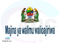 Majina ya walimu walioajiriwa 2021/2022,orodha ya majina ya walimu walioajiriwa 2021,majina ya walimu ajira mpya 2021,majina ya walimu 2021 pdf, majina ya walimu 2021