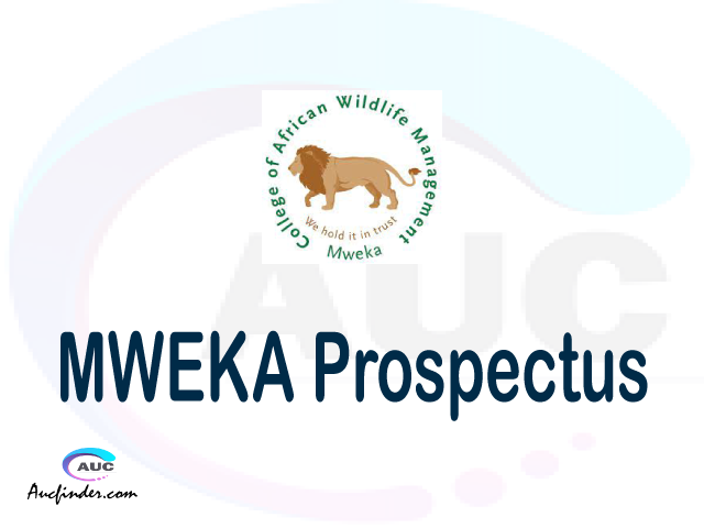 MWEKA CAWM prospectus 2021/2022 MWEKA CAWM prospectus 2021 pdf MWEKA CAWM prospectus postgraduate MWEKA CAWM undergraduate prospectus 2021/2022 