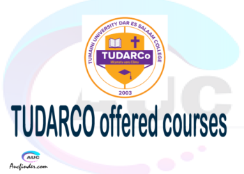 TUDARCO courses 2021, Tumaini University Makumira Dar es Salaam College offered courses, TUDARCO courses and requirements, kozi za chuo kikuu cha Tumaini University Makumira Dar es Salaam College, TUDARCO diploma certificate Undergraduate degree and postgraduate courses