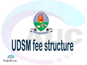 UDSM fee structure 2021 | University of Dar es Salaam fee structure 2021