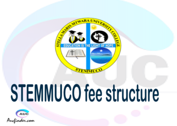 STEMMUCO fee structure 2021, Stella Maris Mtwara University College fees, Stella Maris Mtwara University College fee structure, Stella Maris Mtwara University College tuition fees, Stella Maris Mtwara University College (STEMMUCO) fee structure