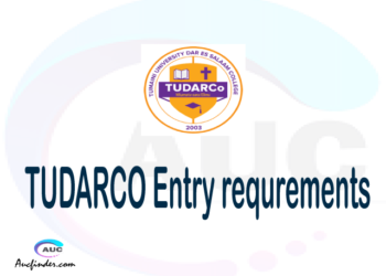 Tumaini University Makumira Dar es Salaam College TUDARCo