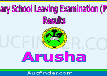 Matokeo ya Darasa la Saba 2025 Arusha – PSLE results 2025 in Arusha Region