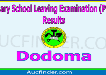 Matokeo ya Darasa la Saba 2025 Dodoma – PSLE 2025 Results in Dodoma Region