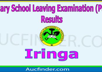 Matokeo ya Darasa la Saba 2025 Iringa – PSLE Results in Iringa Region