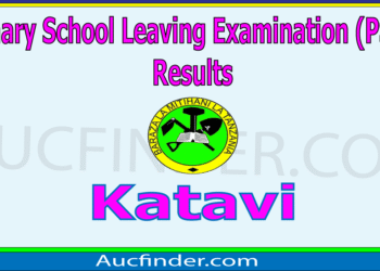 Matokeo ya Darasa la Saba 2025 Katavi – Standard Seven Examination Results in Katavi Region