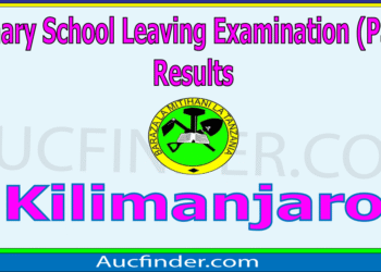 Matokeo ya Darasa la Saba 2025 Kilimanjaro –  How to Check Your Standard Seven Examination Results in Kilimanjaro Region