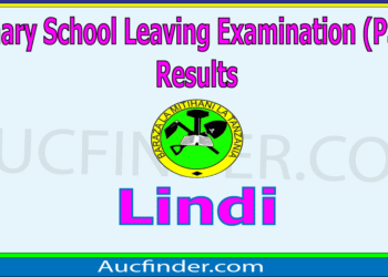 Matokeo ya Darasa la Saba 2025 Lindi –  check Standard Seven Examination Results in Lindi Region