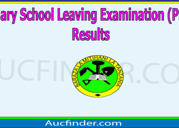 Matokeo ya Darasa la Saba 2025/2026 (How to Check Class Seven Results Online)