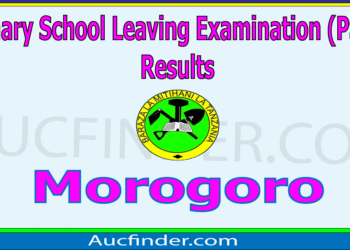 Matokeo ya Darasa la Saba 2025 Morogoro – Standard Seven Results in Morogoro Region