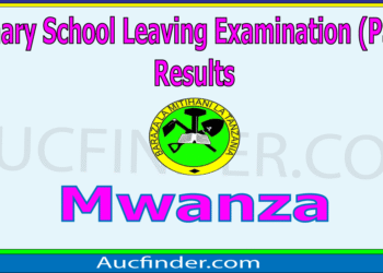 Matokeo ya Darasa la Saba 2025 Mwanza  – How to Check Your School’s PSLE Results in Mwanza Region