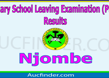 Matokeo ya Darasa la Saba 2025 Njombe – Standard Seven Results in Njombe Region