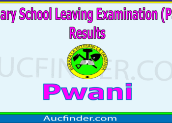 Matokeo ya Darasa la Saba 2025 Mkoa wa Pwani – Standard Seven Results in Pwani Region