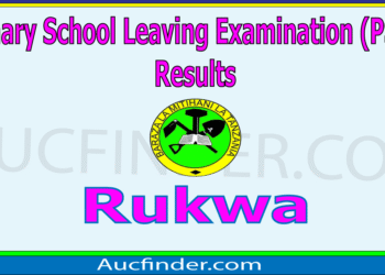 Matokeo ya Darasa la Saba 2025 Rukwa – PSLE Results in Rukwa Region