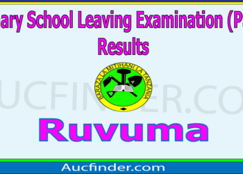 Matokeo ya Darasa la Saba 2025 Ruvuma  – PSLE Results in Ruvuma Region
