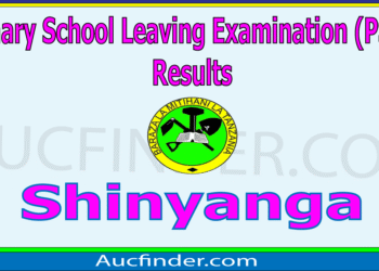 Matokeo ya Darasa la Saba 2025 Shinyanga – PSLE Results in Shinyanga