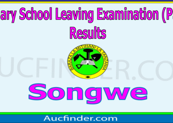 Matokeo ya Darasa la Saba 2025 Mkoa wa Songwe – PSLE Results for Songwe Region
