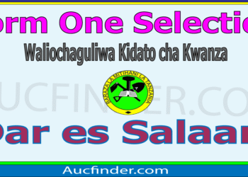 Form One Selection 2026 Dar es Salaam – Majina ya Waliochaguliwa Kidato cha Kwanza Dar es Salaam