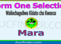 Form One Selection 2026 in Mara Region – Majina ya Waliochaguliwa Kidato cha Kwanza Mara