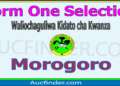 Form One Selection 2026 in Morogoro Region – Majina ya Waliochaguliwa Kidato cha Kwanza Mkoa wa Morogoro