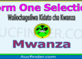 Form One Selection 2026 in Mwanza – Majina ya Waliochaguliwa Kidato cha Kwanza Mkoa wa Mwanza