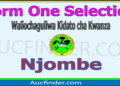 Form One Selection 2026 in Njombe – Majina ya Waliochaguliwa Kidato cha Kwanza Mkoa wa Njombe