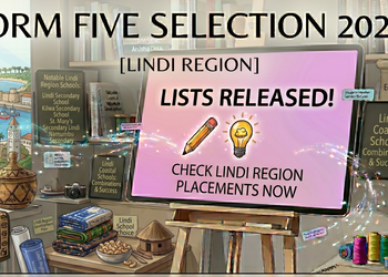 Form Five Selection 2026 Lindi Region: How to Check Your School & Reporting Guide