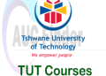 TUT Courses and Requirements