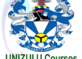 UNIZULU Courses and Requirements