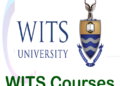 WITS Courses and Requirements