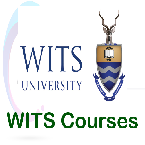 phd requirements at wits