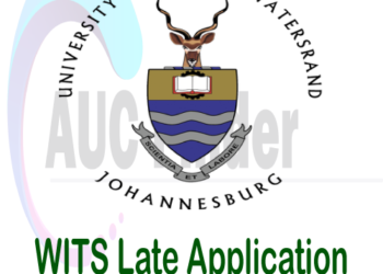 WITS Late Application