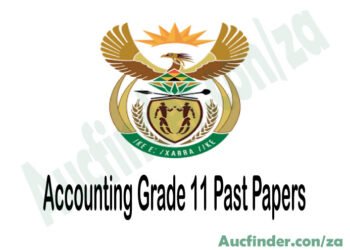 Accounting Grade 11 Exam Papers and Memos