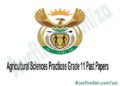 Agricultural Sciences Grade 11 Exam Papers and Memos