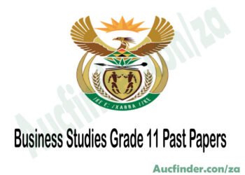 Business Studies Grade 11 Exam Papers and Memos