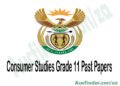 Consumer Studies Grade 11 Exam Papers and Memos