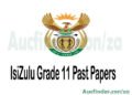 IsiZulu Grade 10 Past Exam Papers and Memos pdf download