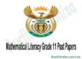 Mathematical Literacy Grade 11 Exam Papers and Memos