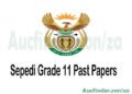 Sepedi Grade 10 Past Exam Papers and Memos pdf download
