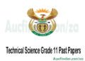 Technical Science Grade 10 Past Exam Papers and Memos pdf download